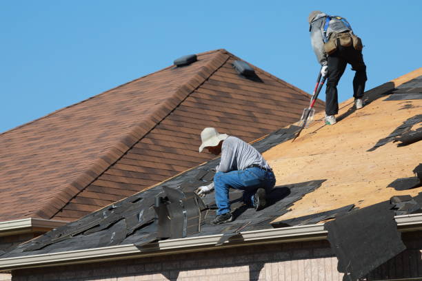 Best Storm Damage Roof Repair  in Eunice, NM